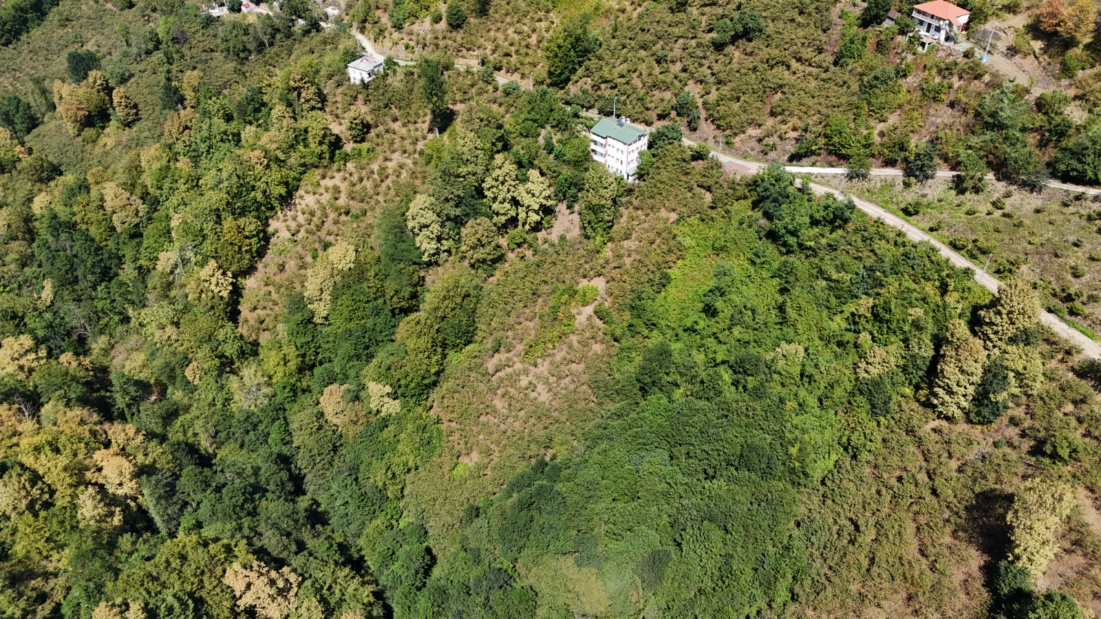 MABEL GAYRİMENKUL/ BEŞİKDÜZÜ/ ZENBEREK MAH SATILIK 5 DÖNÜM ARSA